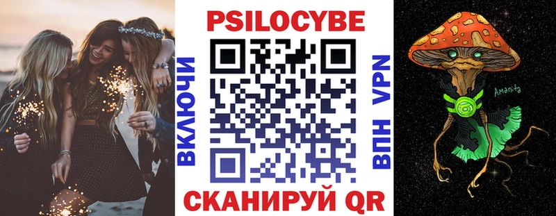 закладки  Козельск  Галлюциногенные грибы прущие грибы 
